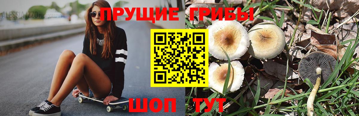 Сатка  Псилоцибиновые грибы Psilocybe  Вход с VPN 